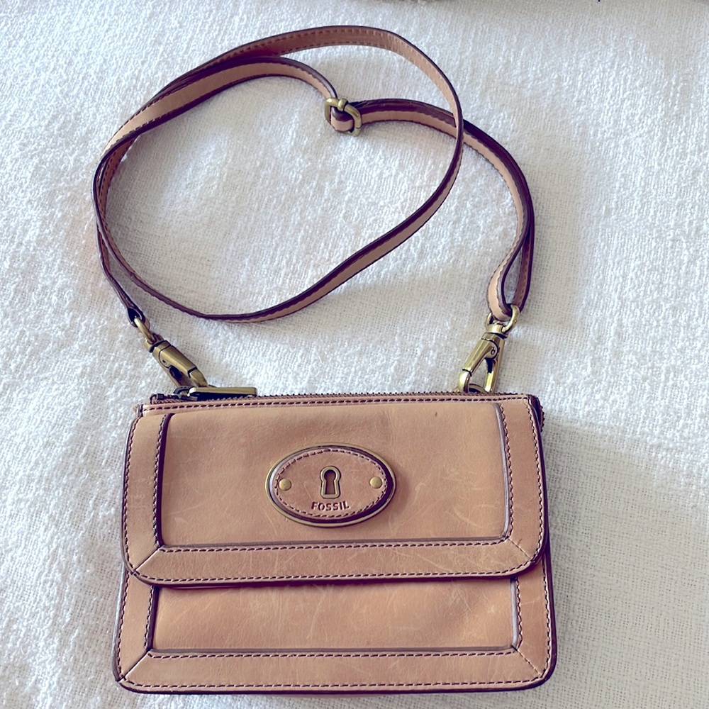 Fossil Crossbody Bag